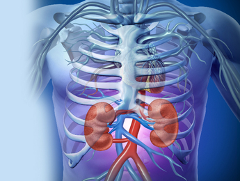 5 Things You Need to Know About Chronic Kidney Disease