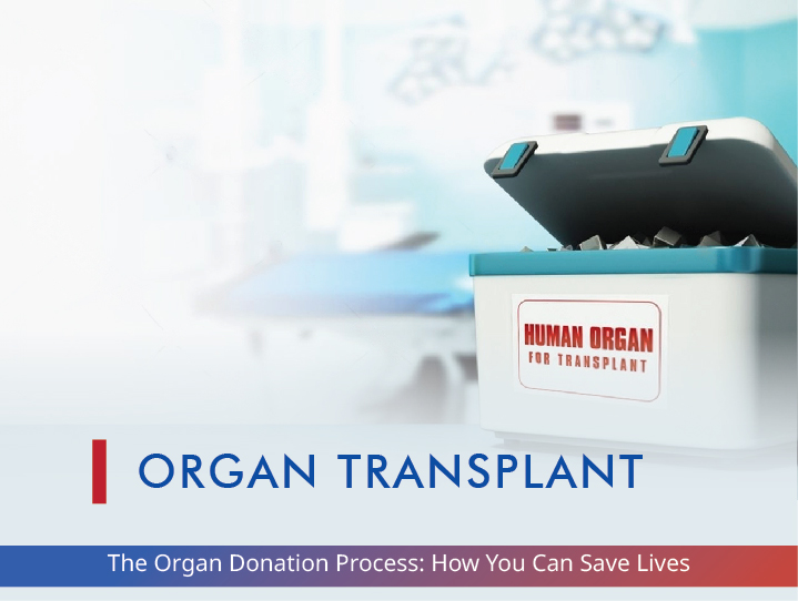 The Organ Donation Process: How You Can Save Lives