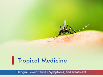 Dengue Fever: Causes, Symptoms, and Treatment