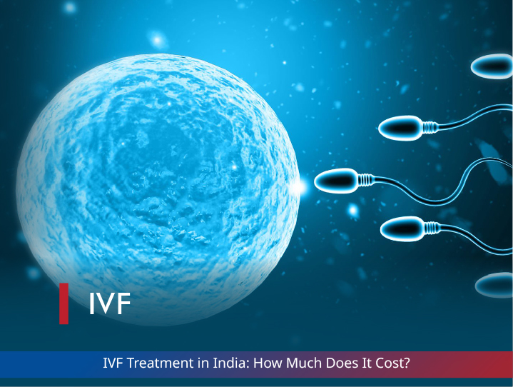 IVF Treatment in India: How Much Does It Cost?