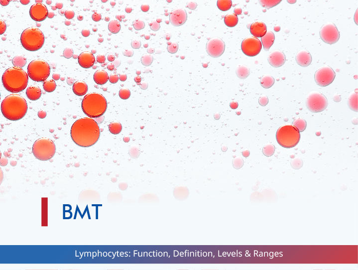 Lymphocytes: Function, Definition, Levels & Ranges