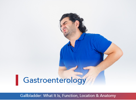 Gallbladder: What It Is, Function, Location & Anatomy