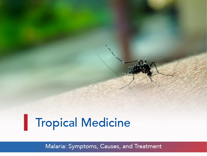 Malaria: Symptoms, Causes, and Treatment