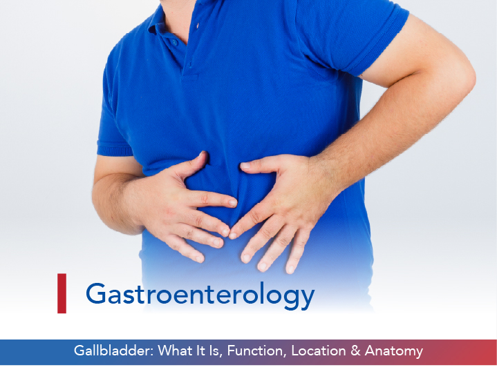 Gallbladder: What It Is, Function, Location & Anatomy