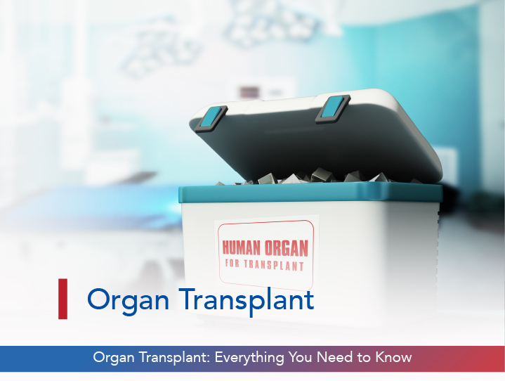 Organ Transplant: Everything You Need to Know